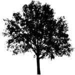 tree-vcoactivist